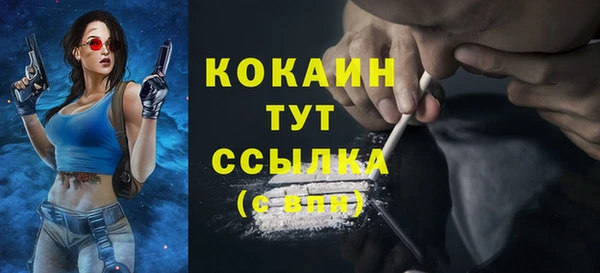 гидра Дубна