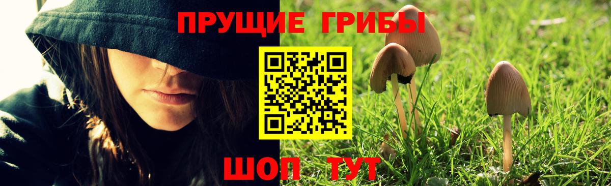 Псилоцибиновые грибы мухоморы  Галлюциногенные грибы Psilocybe  Богородск  Вход с VPN 